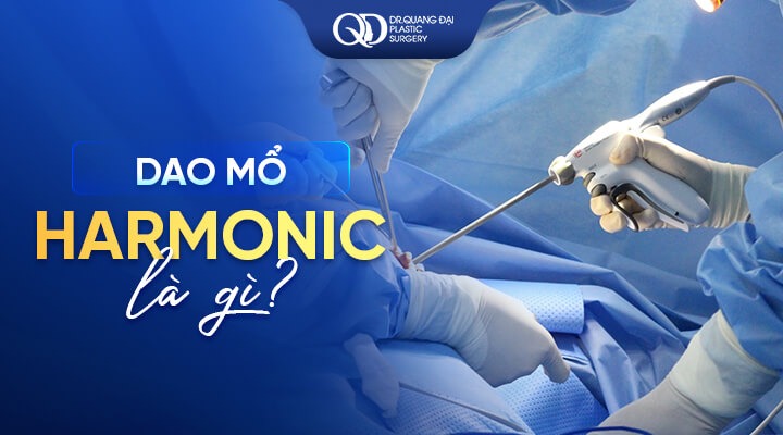 Dao Harmonic